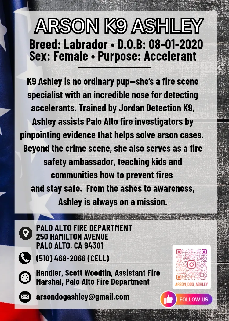 Ashley trading card back