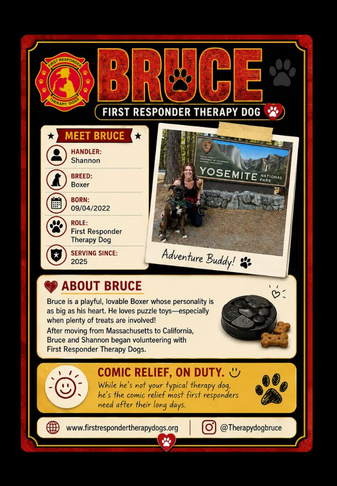Bruce trading card back