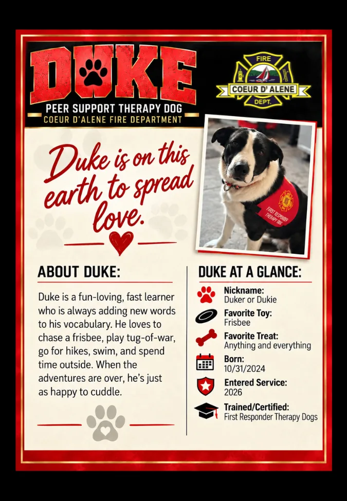 Duke trading card back