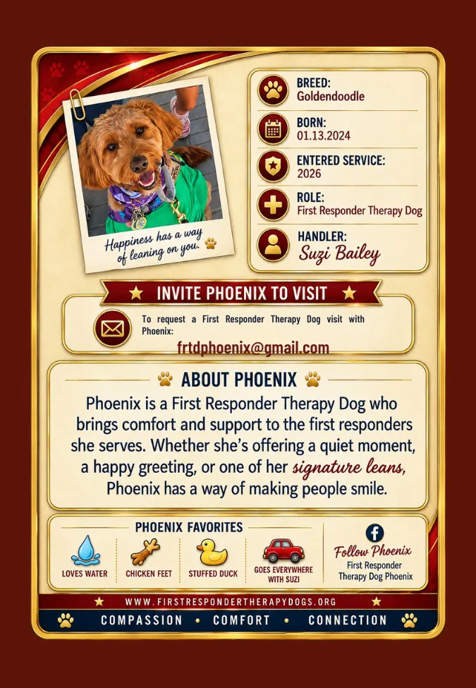 Phoenix trading card back