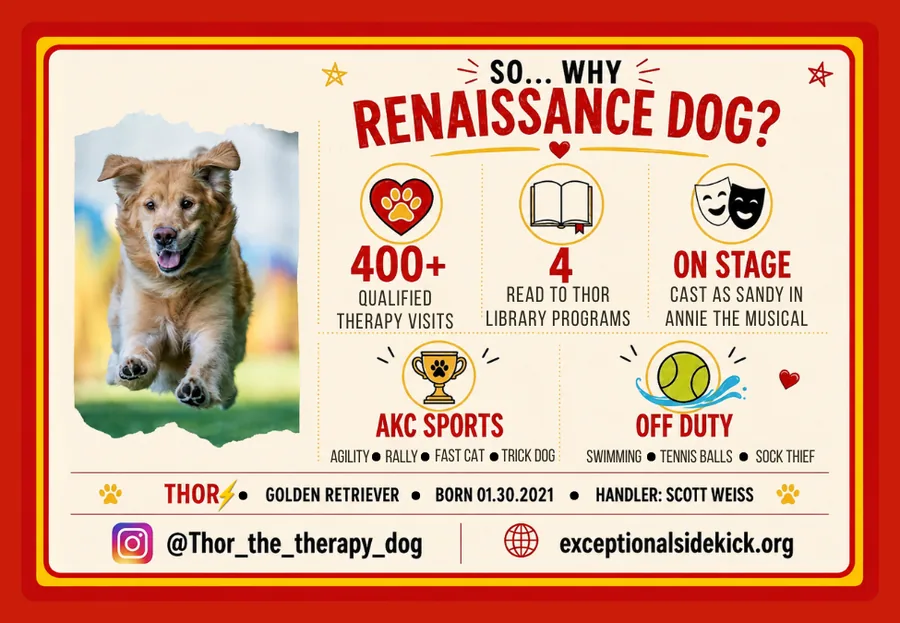 Thor trading card back