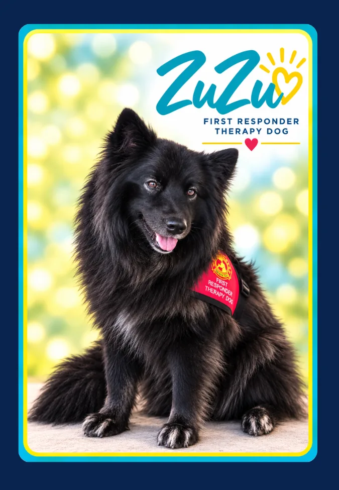 ZuZu trading card front