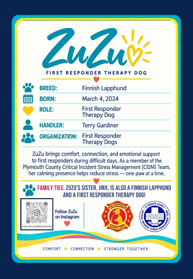 ZuZu trading card back