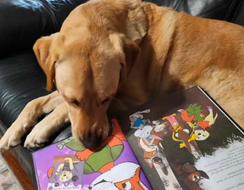 Estie with her nose in an Estie Files book
