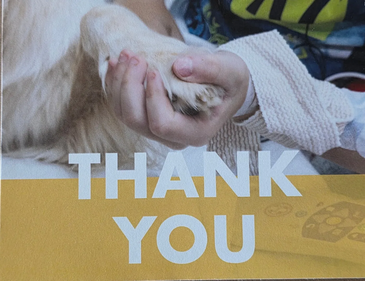 Thank-you letter to Estie